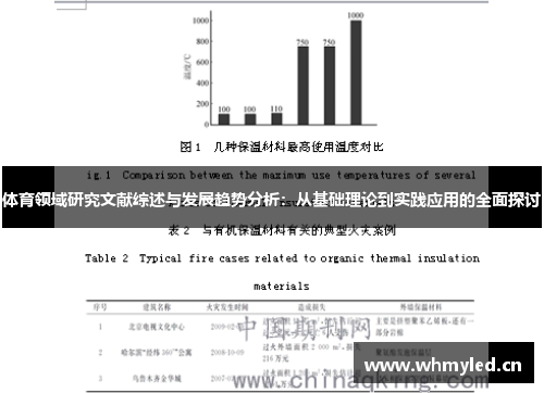 体育领域研究文献综述与发展趋势分析：从基础理论到实践应用的全面探讨