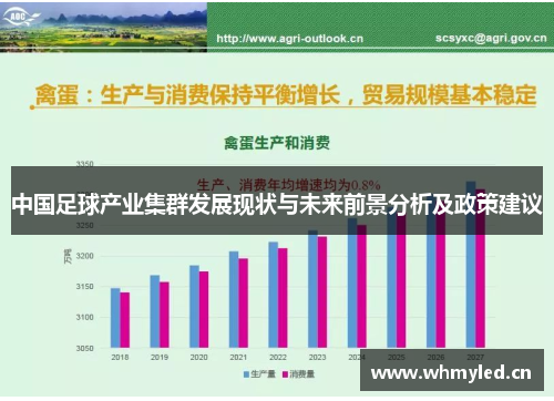 中国足球产业集群发展现状与未来前景分析及政策建议